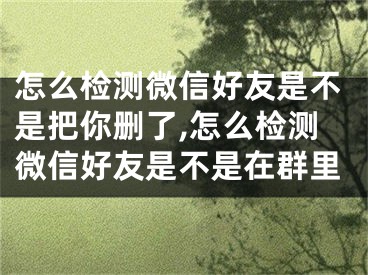 怎么检测微信好友是不是把你删了,怎么检测微信好友是不是在群里