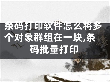 条码打印软件怎么将多个对象群组在一块,条码批量打印