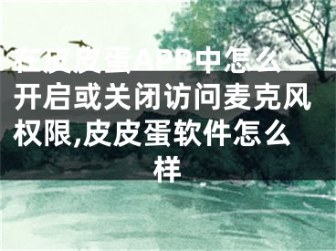 在皮皮蛋APP中怎么开启或关闭访问麦克风权限,皮皮蛋软件怎么样