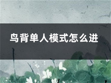 鸟背单人模式怎么进