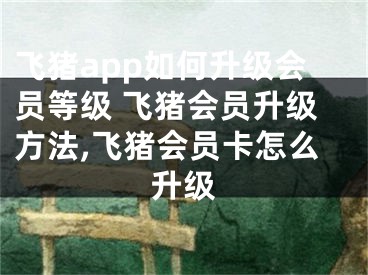 飞猪app如何升级会员等级 飞猪会员升级方法,飞猪会员卡怎么升级