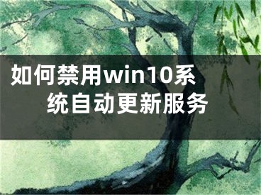 如何禁用win10系统自动更新服务