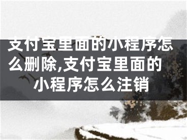 支付宝里面的小程序怎么删除,支付宝里面的小程序怎么注销