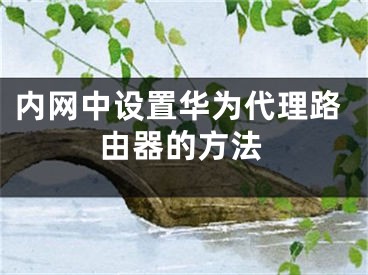 内网中设置华为代理路由器的方法