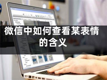 微信中如何查看某表情的含义