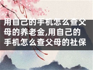 用自己的手机怎么查父母的养老金,用自己的手机怎么查父母的社保