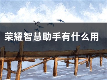 荣耀智慧助手有什么用