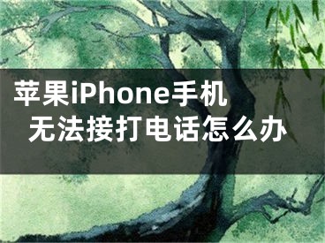 苹果iPhone手机无法接打电话怎么办