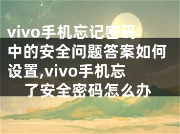 vivo手机忘记密码中的安全问题答案如何设置,vivo手机忘了安全密码怎么办