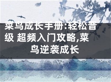 菜鸟成长手册:轻松晋级 超频入门攻略,菜鸟逆袭成长