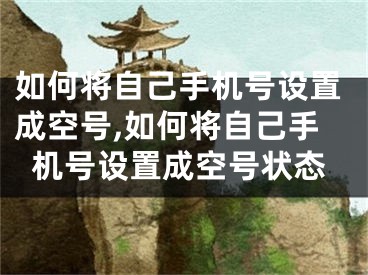 如何将自己手机号设置成空号,如何将自己手机号设置成空号状态