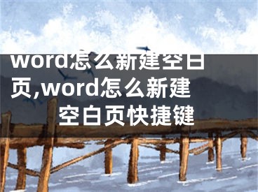 word怎么新建空白页,word怎么新建空白页快捷键