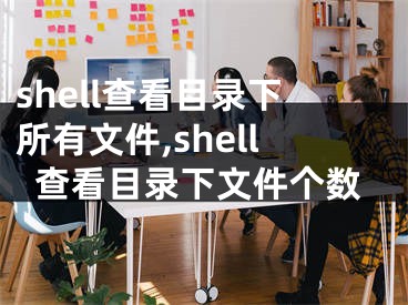 shell查看目录下所有文件,shell查看目录下文件个数