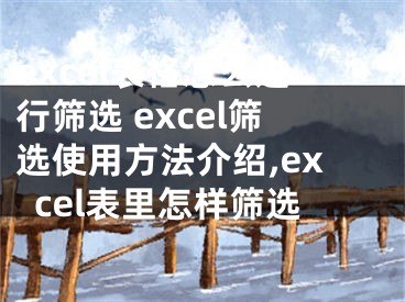 excel表格怎么进行筛选 excel筛选使用方法介绍,excel表里怎样筛选
