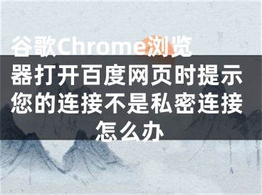 谷歌Chrome浏览器打开百度网页时提示您的连接不是私密连接怎么办