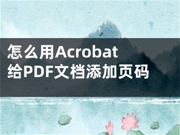 怎么用Acrobat给PDF文档添加页码