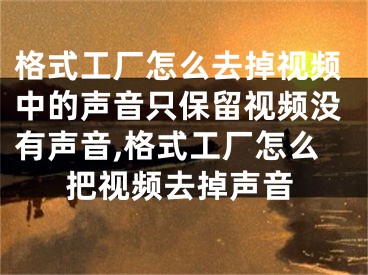 格式工厂怎么去掉视频中的声音只保留视频没有声音,格式工厂怎么把视频去掉声音