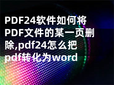 PDF24软件如何将PDF文件的某一页删除,pdf24怎么把pdf转化为word