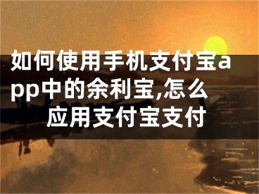 如何使用手机支付宝app中的余利宝,怎么应用支付宝支付