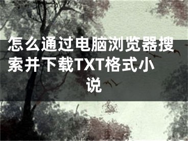 怎么通过电脑浏览器搜索并下载TXT格式小说