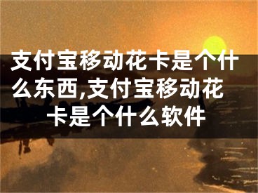 支付宝移动花卡是个什么东西,支付宝移动花卡是个什么软件