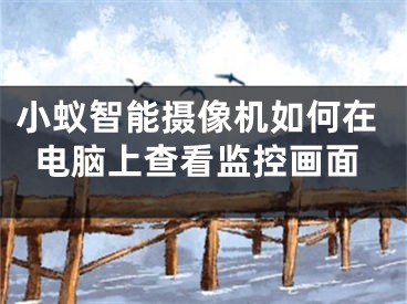 小蚁智能摄像机如何在电脑上查看监控画面