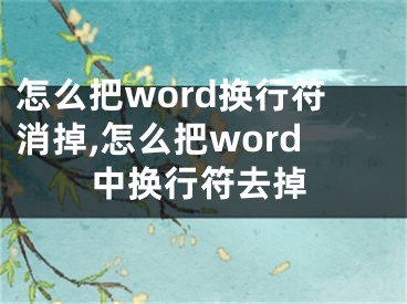 怎么把word换行符消掉,怎么把word中换行符去掉