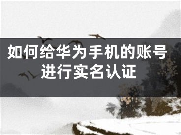 如何给华为手机的账号进行实名认证