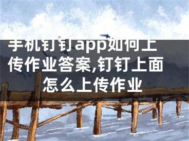 手机钉钉app如何上传作业答案,钉钉上面怎么上传作业