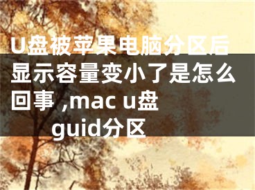 U盘被苹果电脑分区后显示容量变小了是怎么回事 ,mac u盘 guid分区