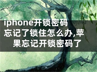 iphone开锁密码忘记了锁住怎么办,苹果忘记开锁密码了