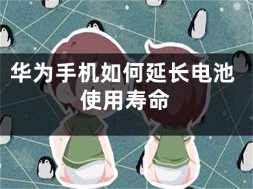 华为手机如何延长电池使用寿命
