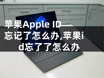苹果Apple ID忘记了怎么办,苹果id忘了了怎么办