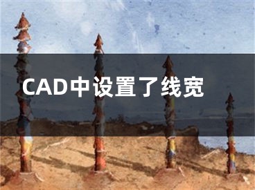 CAD中设置了线宽