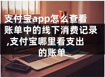 支付宝app怎么查看账单中的线下消费记录 ,支付宝哪里看支出的账单