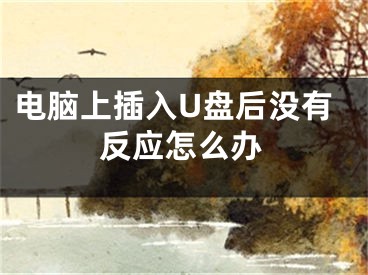电脑上插入U盘后没有反应怎么办