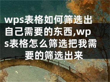 wps表格如何筛选出自己需要的东西,wps表格怎么筛选把我需要的筛选出来