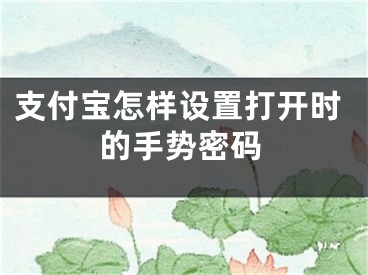 支付宝怎样设置打开时的手势密码