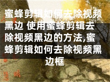 蜜蜂剪辑如何去除视频黑边 使用蜜蜂剪辑去除视频黑边的方法,蜜蜂剪辑如何去除视频黑边框