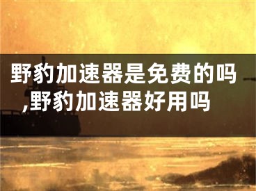 野豹加速器是免费的吗,野豹加速器好用吗
