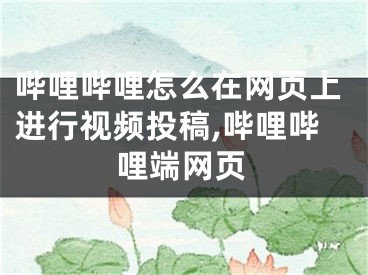 哔哩哔哩怎么在网页上进行视频投稿,哔哩哔哩端网页
