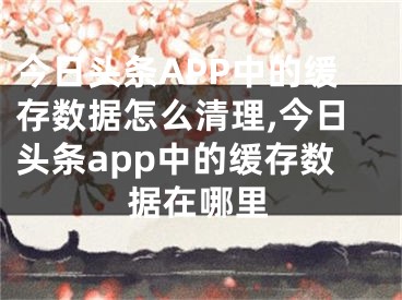 今日头条APP中的缓存数据怎么清理,今日头条app中的缓存数据在哪里