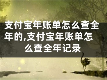 支付宝年账单怎么查全年的,支付宝年账单怎么查全年记录
