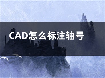 CAD怎么标注轴号