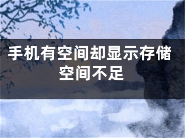 手机有空间却显示存储空间不足