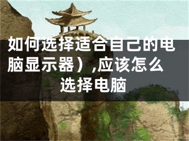 如何选择适合自己的电脑显示器）,应该怎么选择电脑