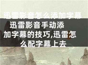 迅雷影音怎么添加字幕   迅雷影音手动添加字幕的技巧,迅雷怎么配字幕上去