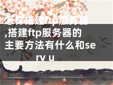 怎样搭建ftp服务器,搭建ftp服务器的主要方法有什么和serv u