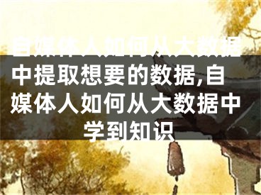 自媒体人如何从大数据中提取想要的数据,自媒体人如何从大数据中学到知识