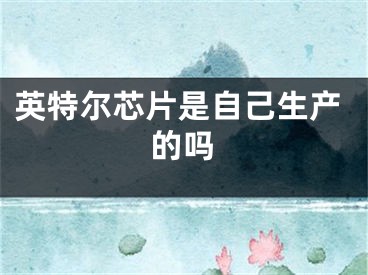 英特尔芯片是自己生产的吗